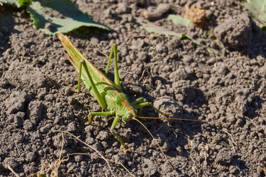 Similar image 21907164