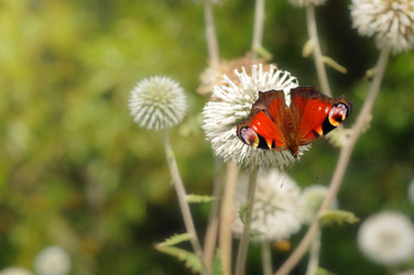 Similar image 21907178