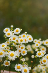 Similar image 21907179