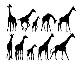 Similar image 21908205