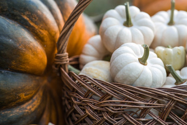 Similar image 21909299