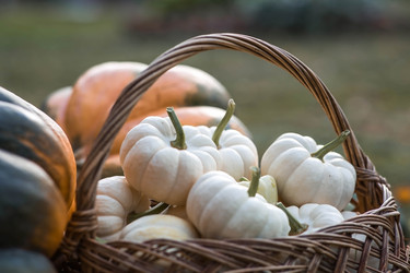 Similar image 21909300