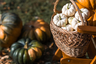 Similar image 21909511