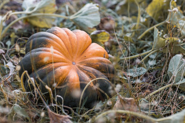 Similar image 21909512