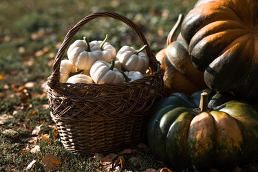 Similar image 21909513