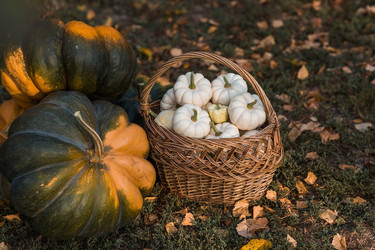 Similar image 21909515