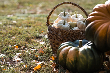 Similar image 21909517