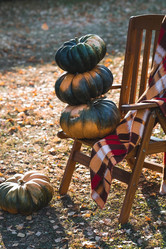 Similar image 21909519