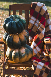 Similar image 21909521