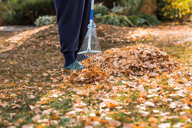 Similar image 21909522