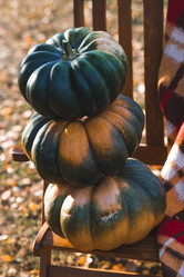 Similar image 21909523