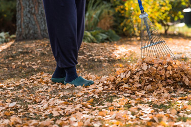 Similar image 21909524