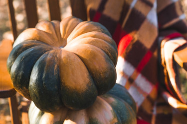 Similar image 21909525