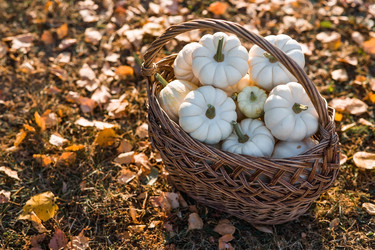 Similar image 21911265