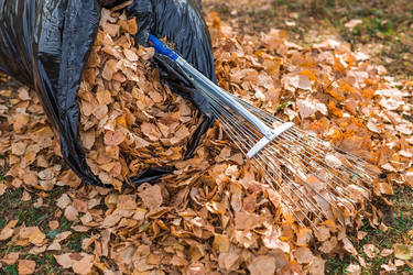 Similar image 21911266