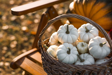 Similar image 21911267