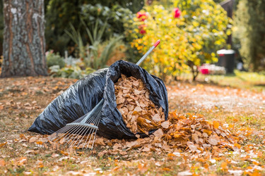 Similar image 21911268