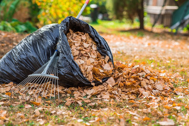 Similar image 21911270