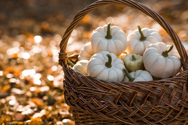 Similar image 21911271