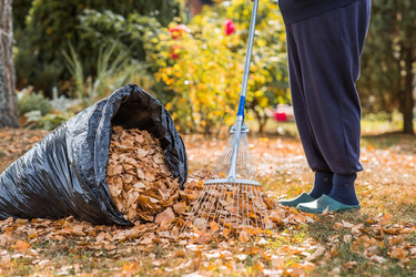 Similar image 21911272