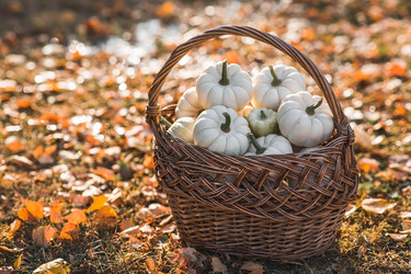 Similar image 21911273