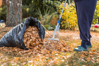 Similar image 21911274