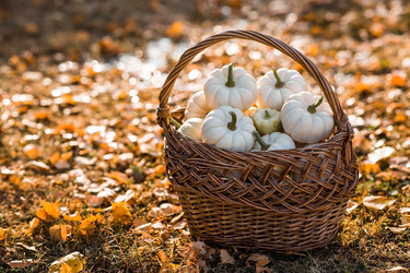 Similar image 21911275