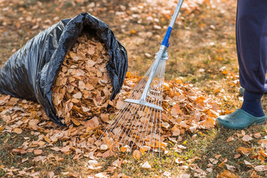 Similar image 21911276