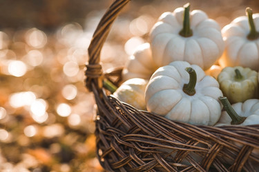 Similar image 21911277