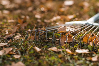 Similar image 21911278