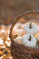 Similar image 21911279