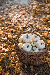 Similar image 21911281