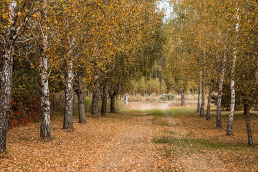 Similar image 21911282