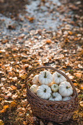 Similar image 21911283