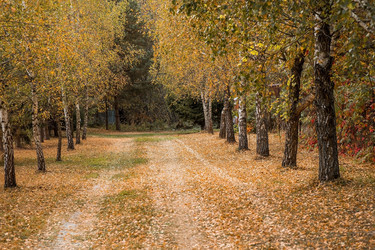 Similar image 21911284