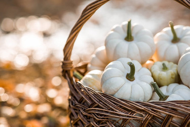 Similar image 21911285