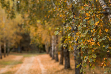 Similar image 21911286