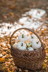 Similar image 21911288