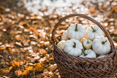 Similar image 21911291