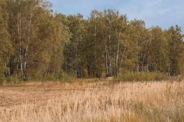 Similar image 21911292