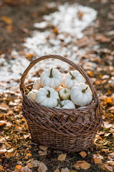 Similar image 21911293