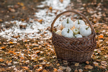 Similar image 21911295