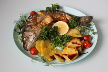 Similar image 21909527