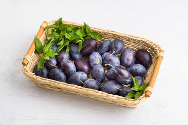 Similar image 21908395