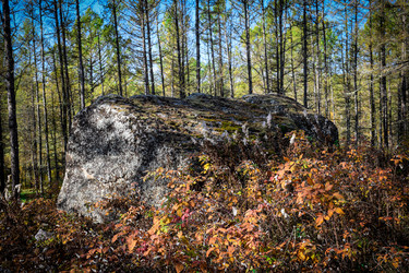 Similar image 21907514