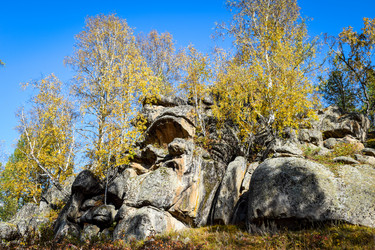 Similar image 21907515