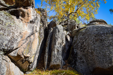 Similar image 21907516