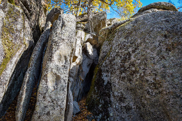 Similar image 21907517