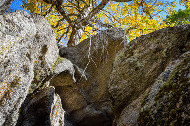 Similar image 21907519