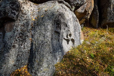 Similar image 21907520